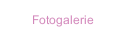 Fotogalerie